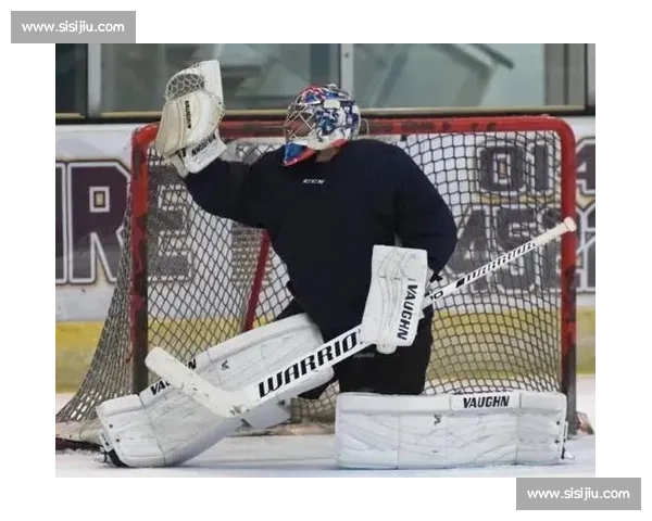 冰球门神守护者!守门员排名系列,谁是最后一道屏障 冰球门神守护者!守门员排名系列,谁是最后一道屏障